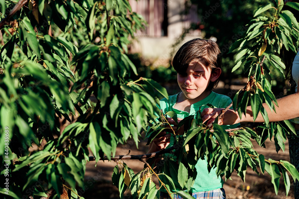 portrait of a little boy playing at pruning a tree with his mother on a sunny day in the garden of their home portrait of a little boy playing at pruning a tree with his mother on a sunny day in the garden of their home