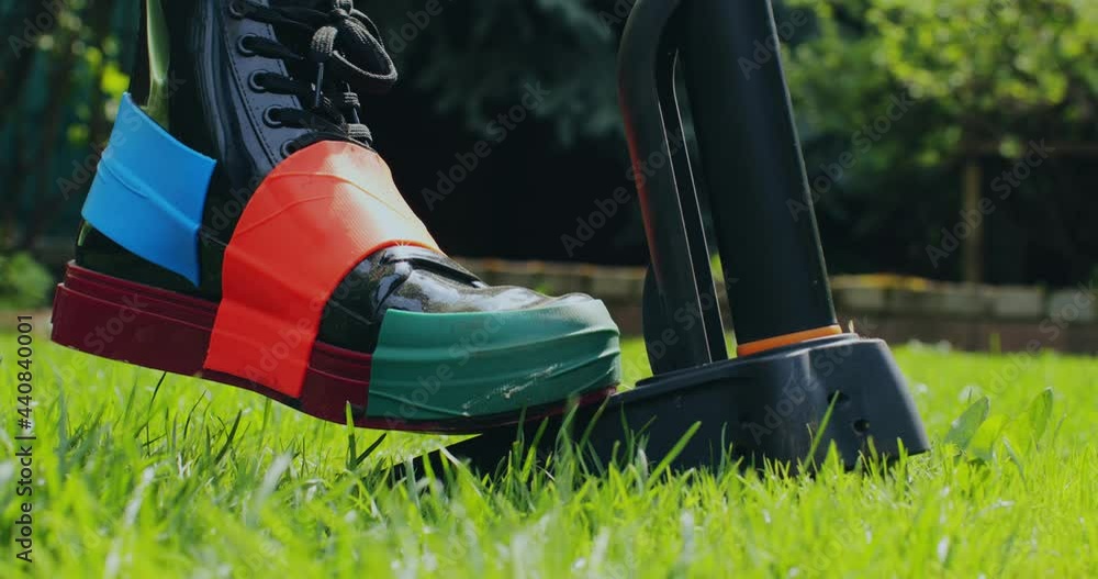 Gardening weeding. Gardener remove weeds dandelions by weed puller tool