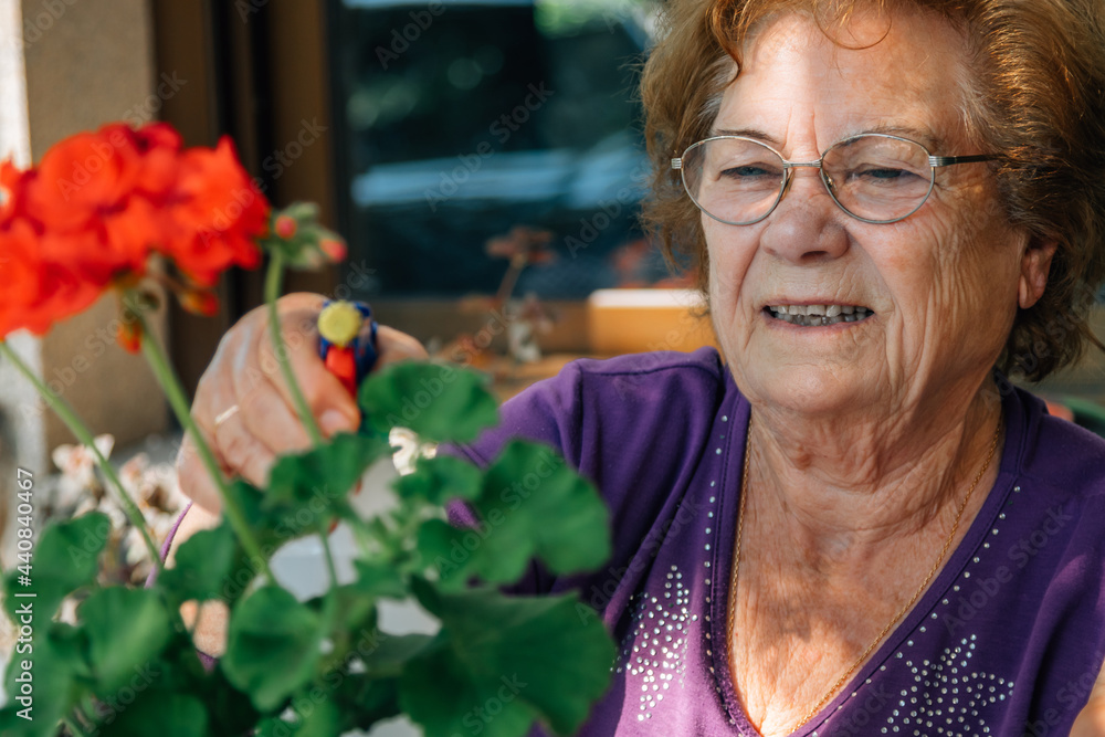 © carballo - senior woman caring for plants