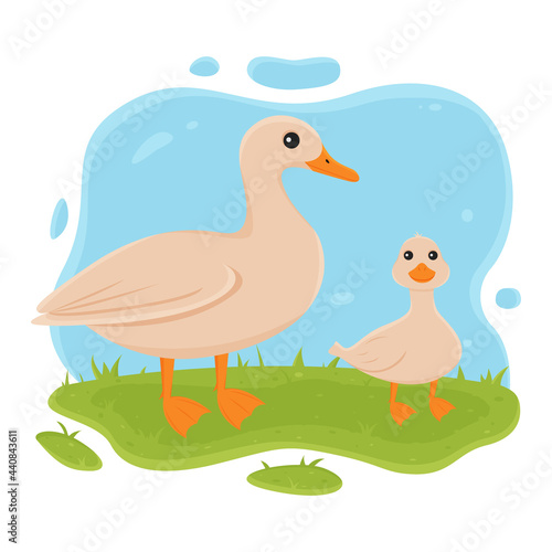 Duck and duckling stand on the grass. Vector illustration of domestic farm bird in cartoon simple flat style.