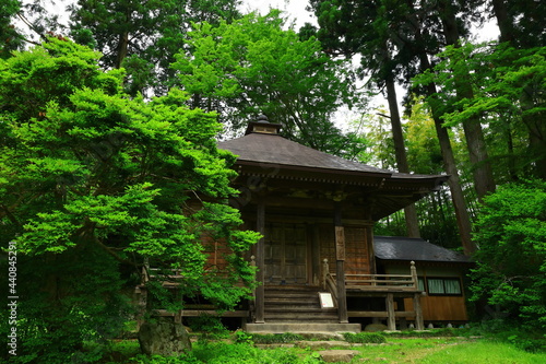 世界遺産 新緑の中尊寺