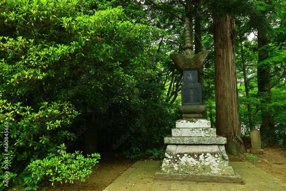 世界遺産　新緑の中尊寺