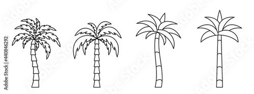 Palm tree icon. Set of linear coconut tree icons. Vector illustration. Palm vector icons. Black linear palm icons