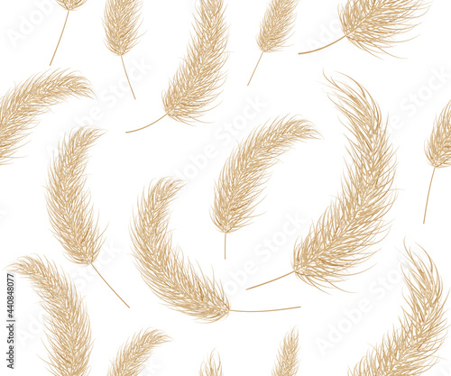 Pattern of pampas dry grass boho. Branch seamless background of pampas grass. Panicle, feather flower head. Pampas grass for decoration. Vector