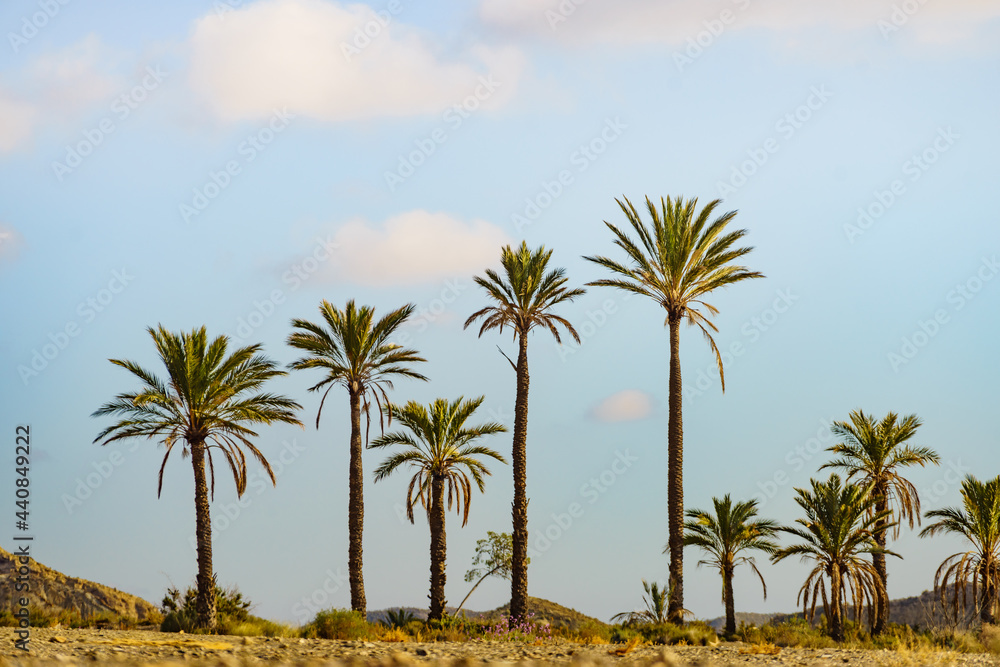 Sierra Alhamilla landscape, Spain.