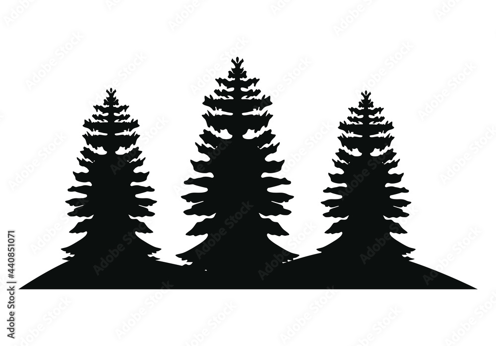 Obraz premium pines forest silhouette