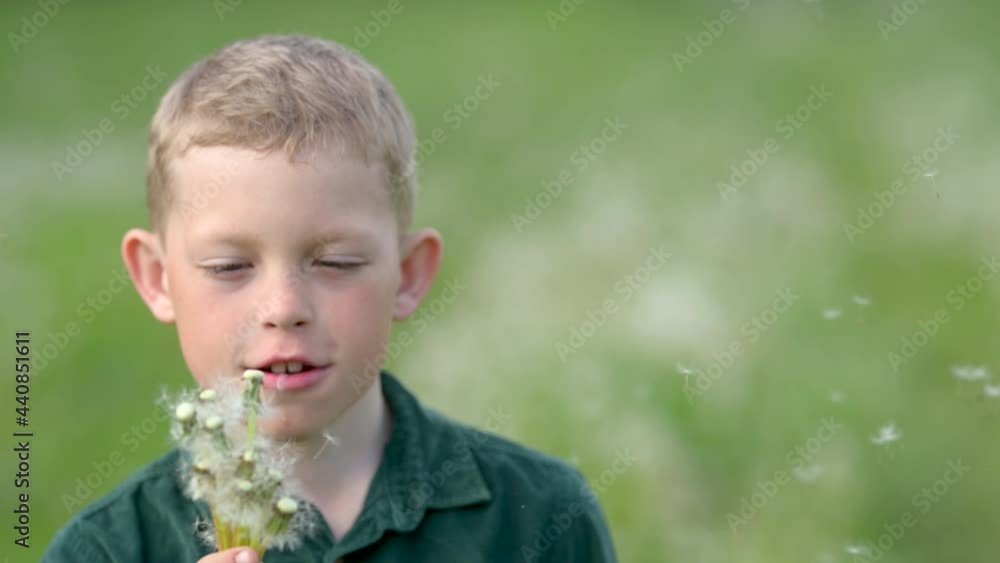 Close up portrait of happy little child having fun in sunny park. Boy blowing on a dandelion smiles and looks into the camera. Flower seeds scatter in the wind. children emotions. Close up portrait of happy little child having fun in sunny park. Boy blowing on a dandelion smiles and looks into the camera. Flower seeds scatter in the wind. children emotions.