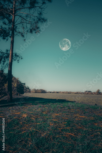 Luna