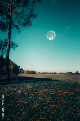 Luna