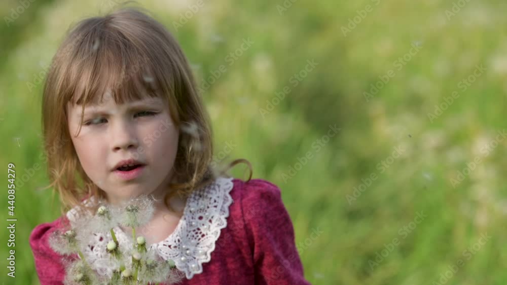 Cute little happy child having fun in sunny park. Girl in a dress blowing on a dandelion on a green meadow. Flower seeds scatter in the wind. children emotions. Cute little happy child having fun in sunny park. Girl in a dress blowing on a dandelion on a green meadow. Flower seeds scatter in the wind. children emotions.