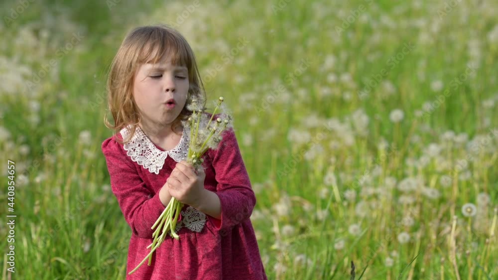 Cute little happy child having fun in sunny park. Girl in a dress blowing on a dandelion on a green meadow. Flower seeds scatter in the wind. children emotions. Cute little happy child having fun in sunny park. Girl in a dress blowing on a dandelion on a green meadow. Flower seeds scatter in the wind. children emotions.