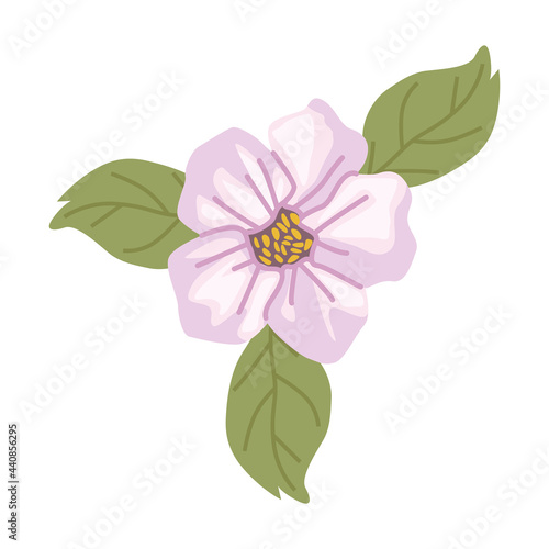 spring lilac flower