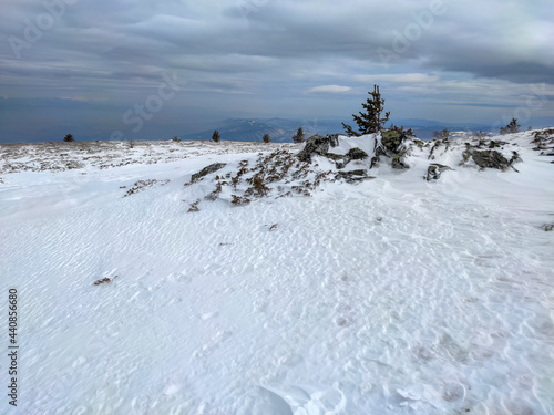 Winter landscape of Vitosha Mountain near Kamen Del peak, Bulgaria