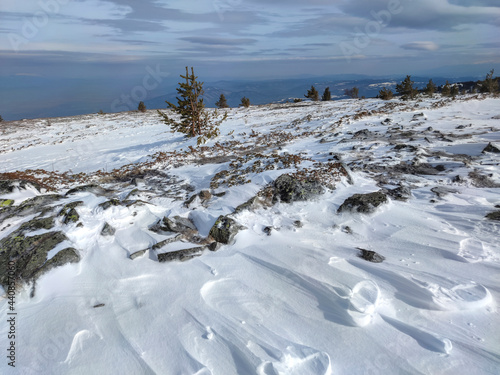 Winter landscape of Vitosha Mountain near Kamen Del peak  Bulgaria