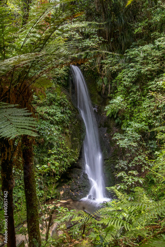 Waterfall in Tauranga, New Zealand