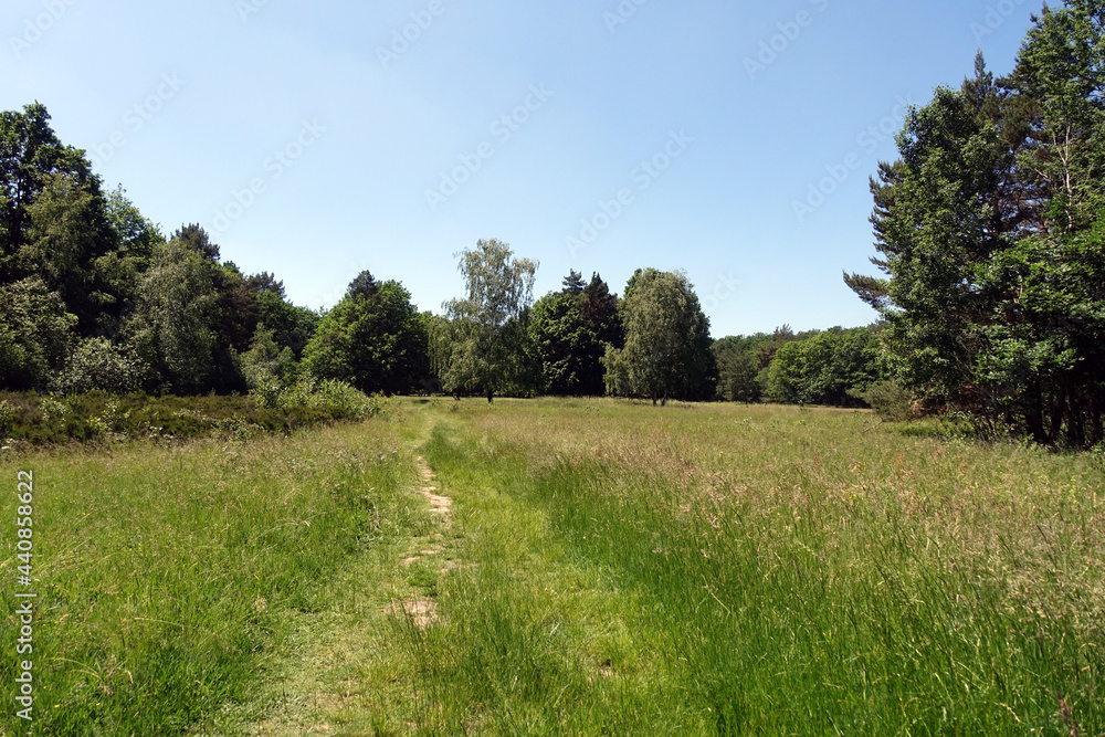 Naturschutzgebiet Schavener Heide