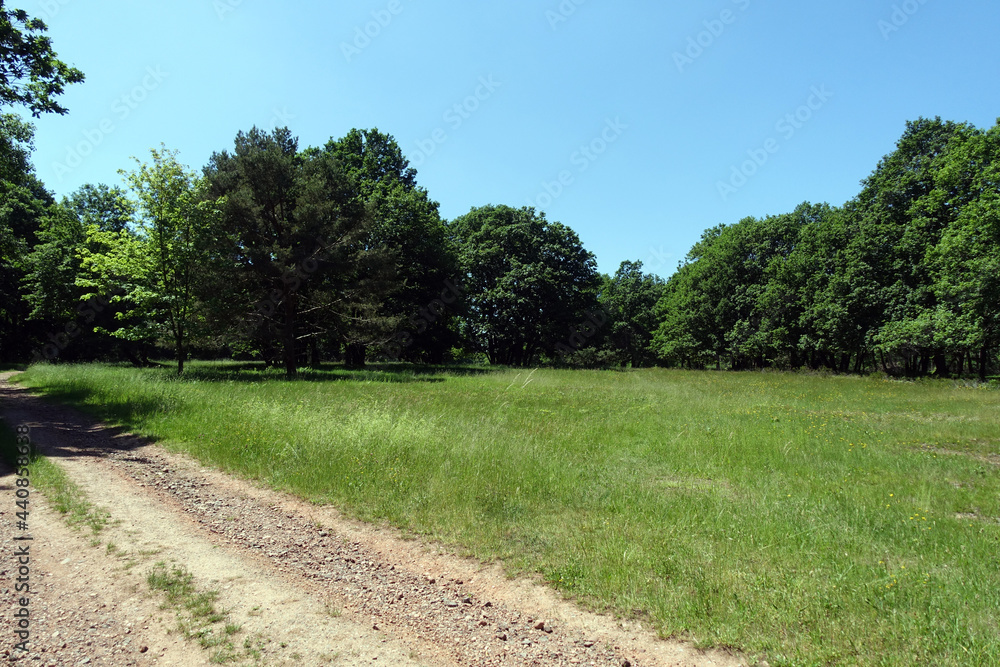 Naturschutzgebiet Schavener Heide