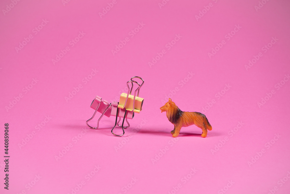 How Do Dogs See Pink