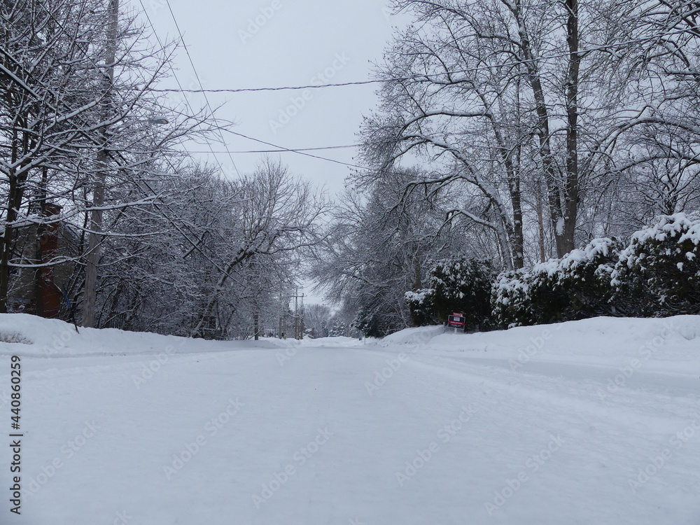 Obraz premium winter road