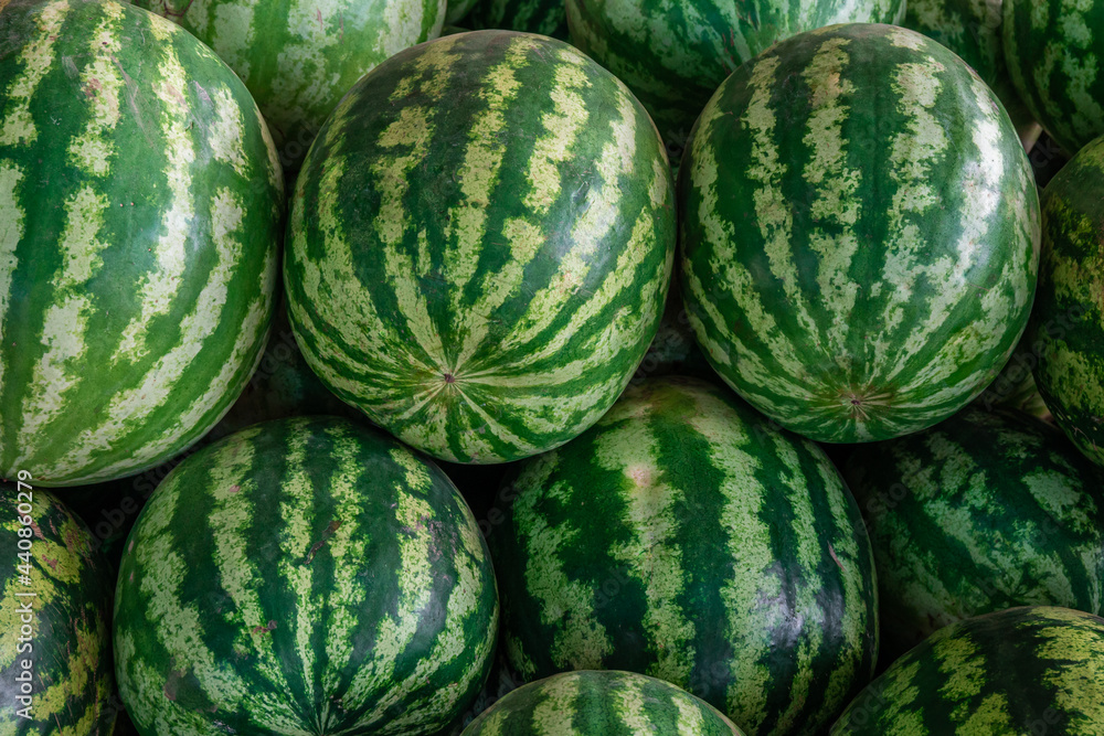 A pile of organic watermelons at a farmer's market A pile of organic watermelons at a farmer's market