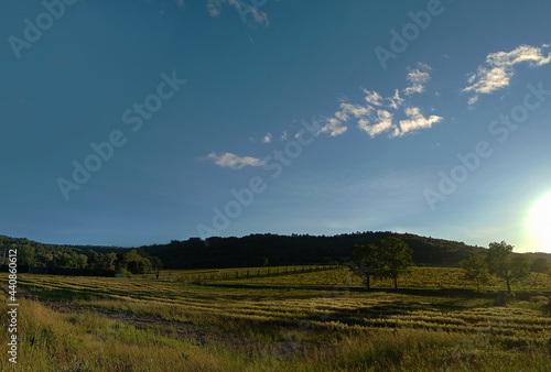 sunset on peacefull landscape vineyards and forest  in Southern France photo