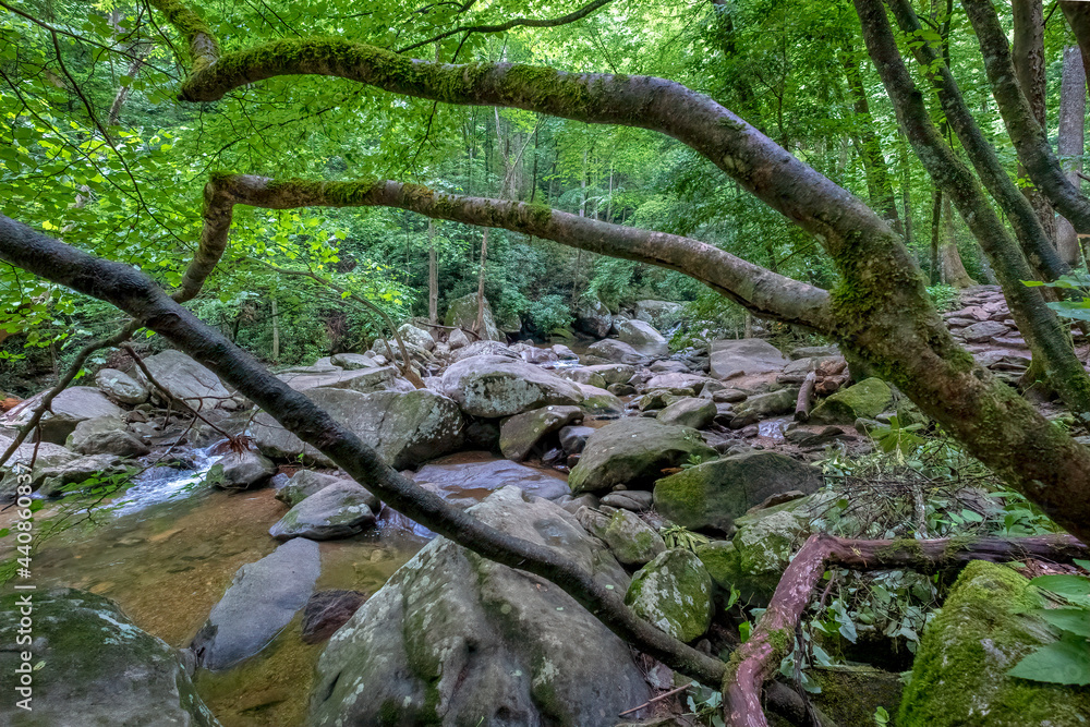 Shoals on the Jacob Fork River, High Shoals Falls Trail, South Mountains State Park, North Carolina Shoals on the Jacob Fork River, High Shoals Falls Trail, South Mountains State Park, North Carolina