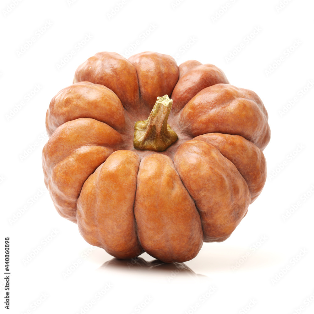 pumpkin isolated on white background pumpkin isolated on white background