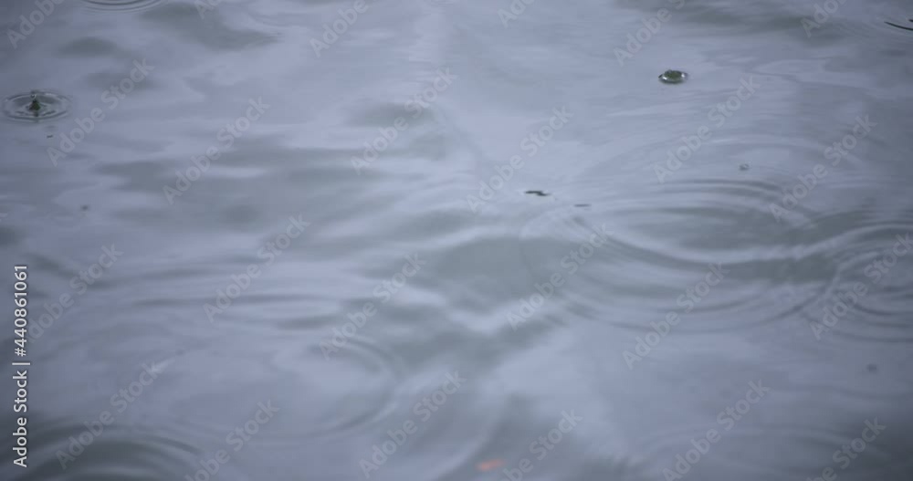 A slow motion of rain drop in the water the pond rainy day closeup A slow motion of rain drop in the water the pond rainy day closeup