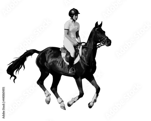 Fototapeta Naklejka Na Ścianę i Meble -  athlete riding a horse at a gallop, show jumping, realistic isolated monochrome image