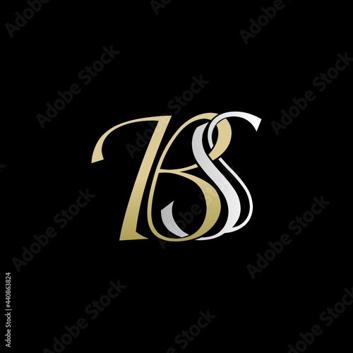 bs luxury logo design vector icon symbol photo