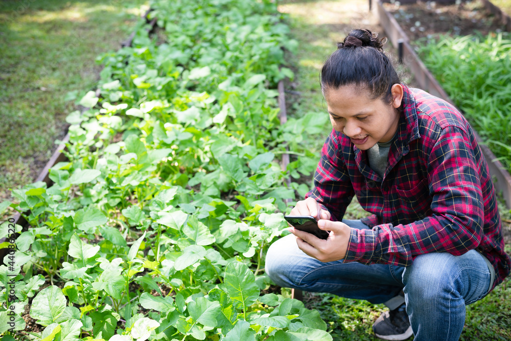 Asian man farmer sitting and using smartphone in organic vegetable garden Asian man farmer sitting and using smartphone in organic vegetable garden