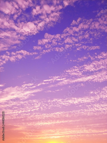 雨上がりの空　鱗雲　鰯雲　夕景