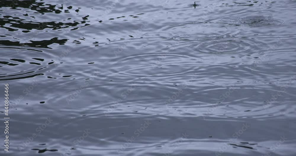 A slow motion of rain drop in the water the pond rainy day A slow motion of rain drop in the water the pond rainy day