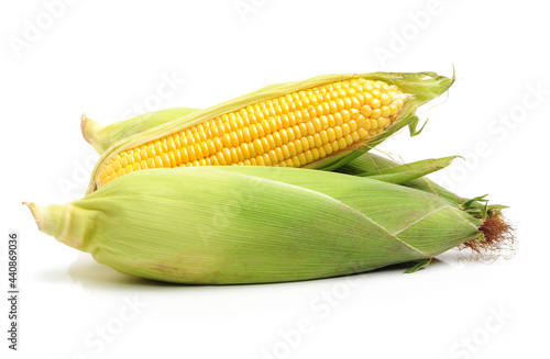 Картината върху платно corn on the cob