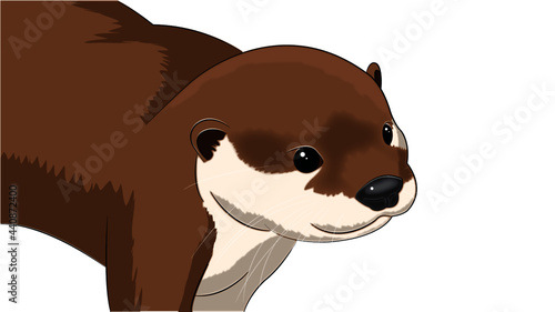 Cara de una nutria