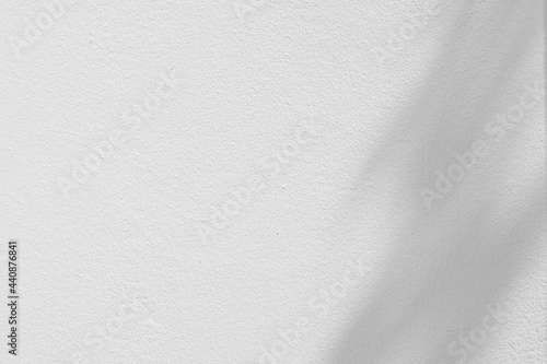 abstract shadow of palm leaf on white wall background