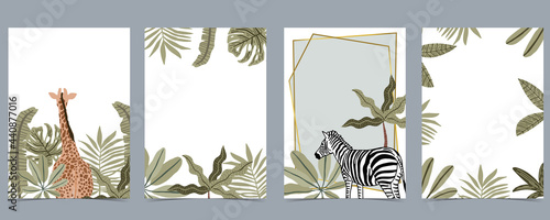Safari collection with giraffe and zebra are standing on white background