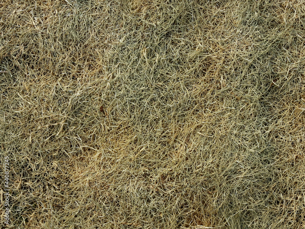 dry grass cover on the ground texture