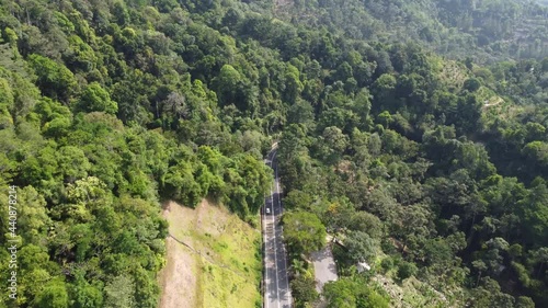 Aerial view road at green forest of Jalan Tun Sardon photo
