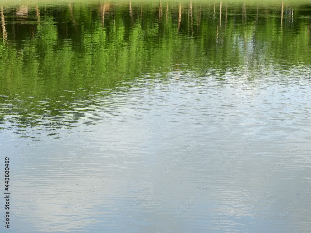 reflection of tree in the water reflection of tree in the water