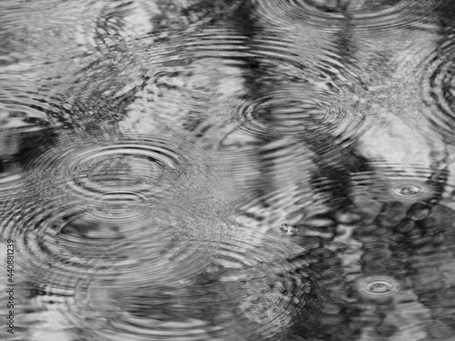 rain drop on water with reflection of tree black and white style