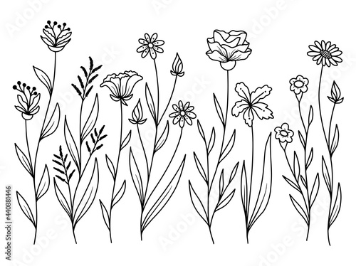 Hand drawn flower sketch line art illustration set.