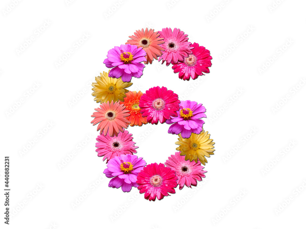 Font made from flowers. Arrangement flowers into letter. floral lettering on a white background. Font flower or letter flower. Font made from flowers. Arrangement flowers into letter. floral lettering on a white background. Font flower or letter flower.