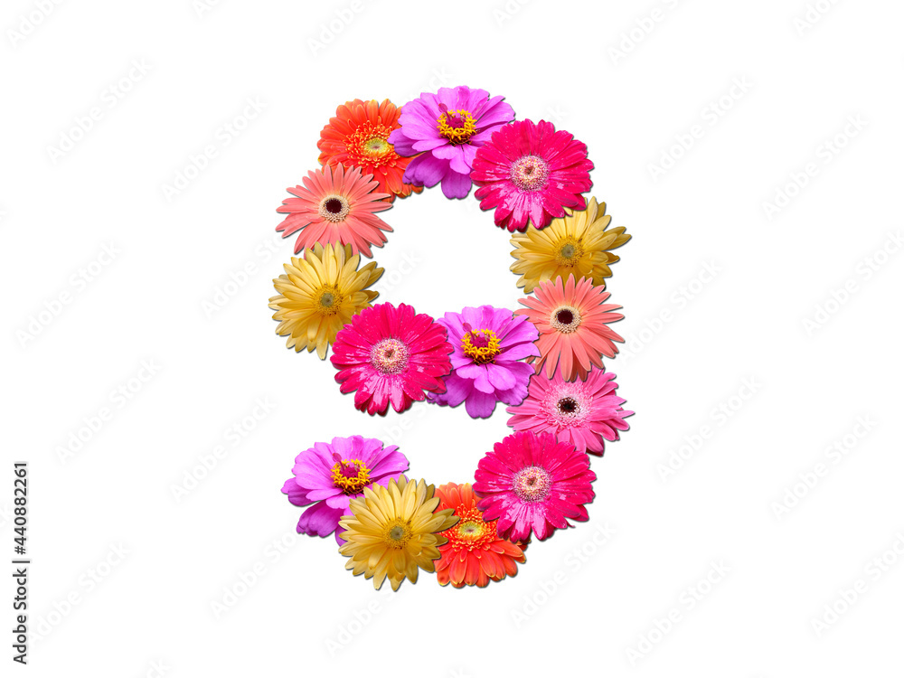 Font made from flowers. Arrangement flowers into letter. floral lettering on a white background. Font flower or letter flower.