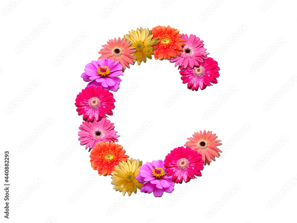 Font made from flowers. Arrangement flowers into letter. floral lettering on a white background. Font flower or letter flower.