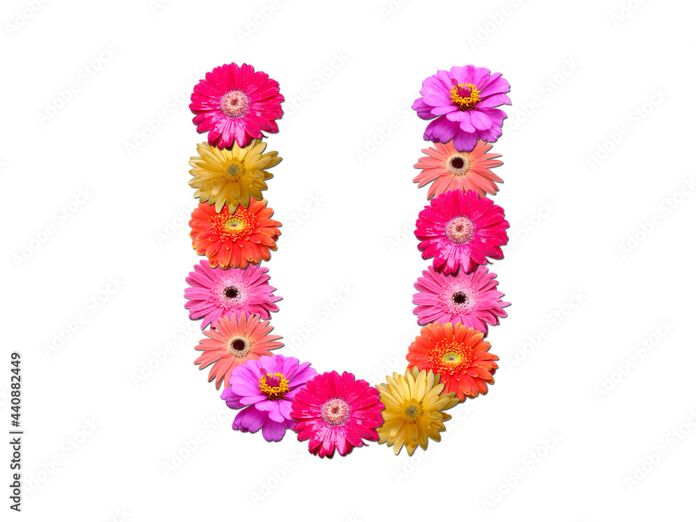 Font made from flowers. Arrangement flowers into letter. floral lettering on a white background. Font flower or letter flower. Font made from flowers. Arrangement flowers into letter. floral lettering on a white background. Font flower or letter flower.