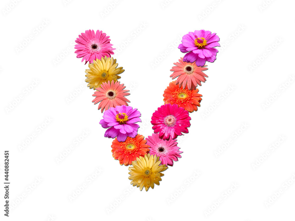 Font made from flowers. Arrangement flowers into letter. floral lettering on a white background. Font flower or letter flower. Font made from flowers. Arrangement flowers into letter. floral lettering on a white background. Font flower or letter flower.