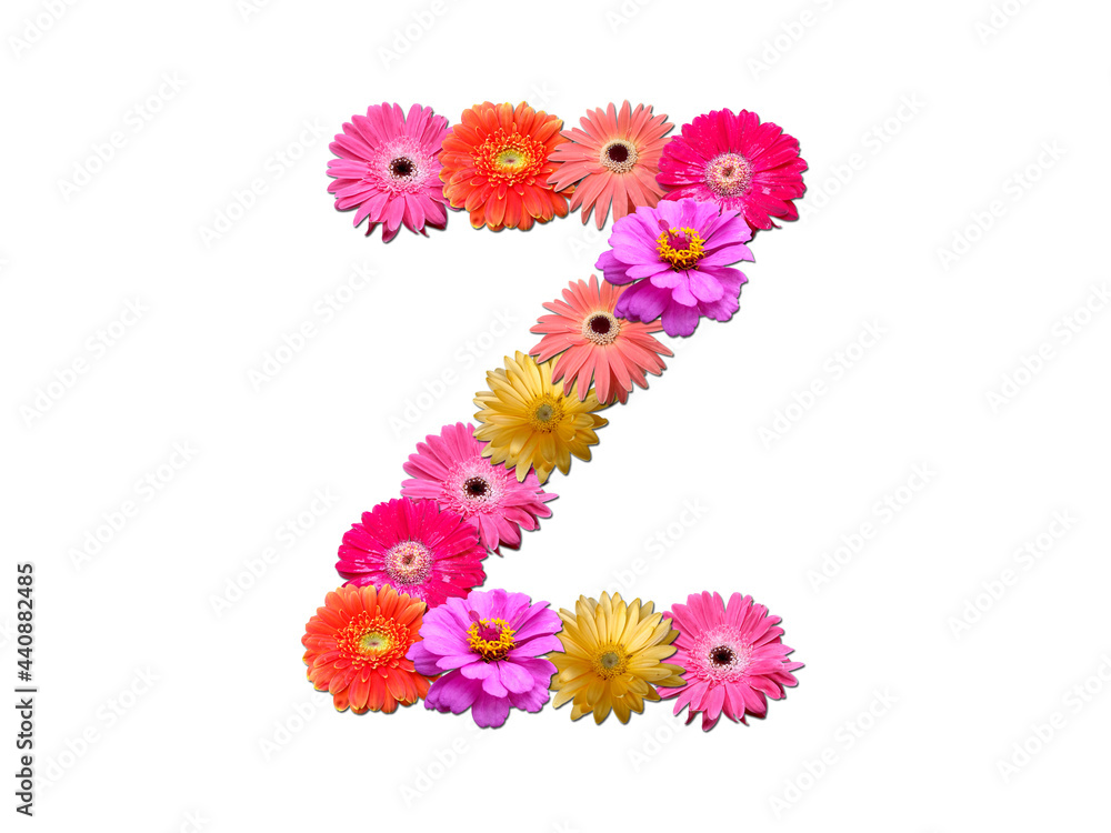 Font made from flowers. Arrangement flowers into letter. floral lettering on a white background. Font flower or letter flower.