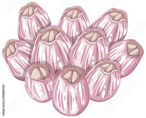 Fotografía Barnacles in cartoon style on white background