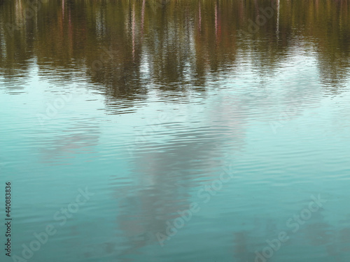abstract water reflection of tree with blue sky, natural background